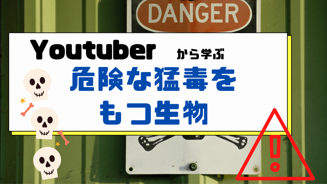 Youtuberから学ぶ 猛毒をもった危険生物 ランキング ユースタ