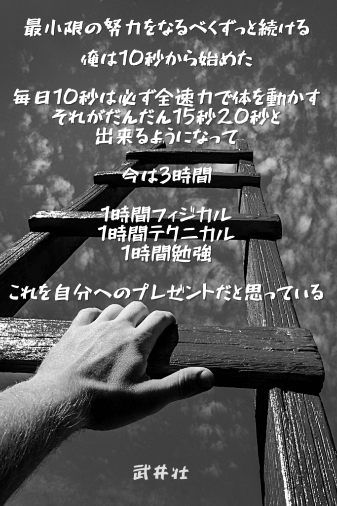 武井壮の名言6