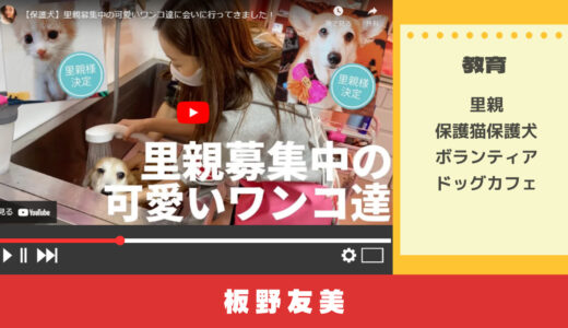 YouTubeで学ぶ保護猫・保護犬ボランティアとは