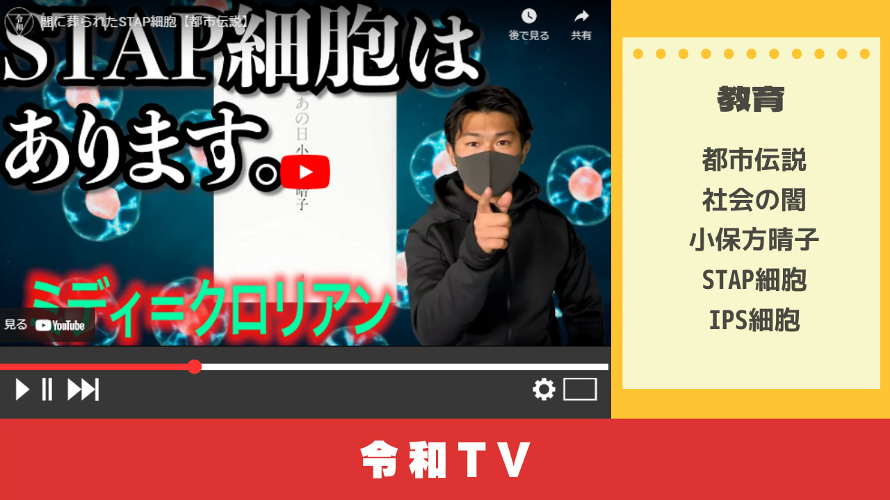 Youtuberから学ぶstap細胞 Es細胞 Ips細胞とは ユースタ