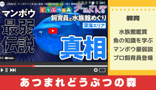 あつまれどうぶつの森YouTube実況で水族館の魅力を学ぶ